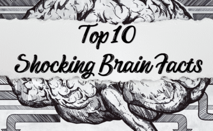 10 Brain Facts